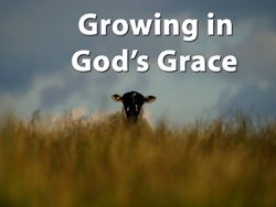 Growing In God
